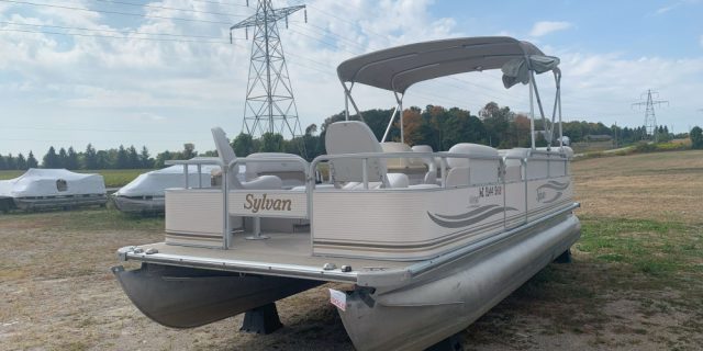 2002 22′ Sylvan Pontoon 50 hp Merc 4-Stroke