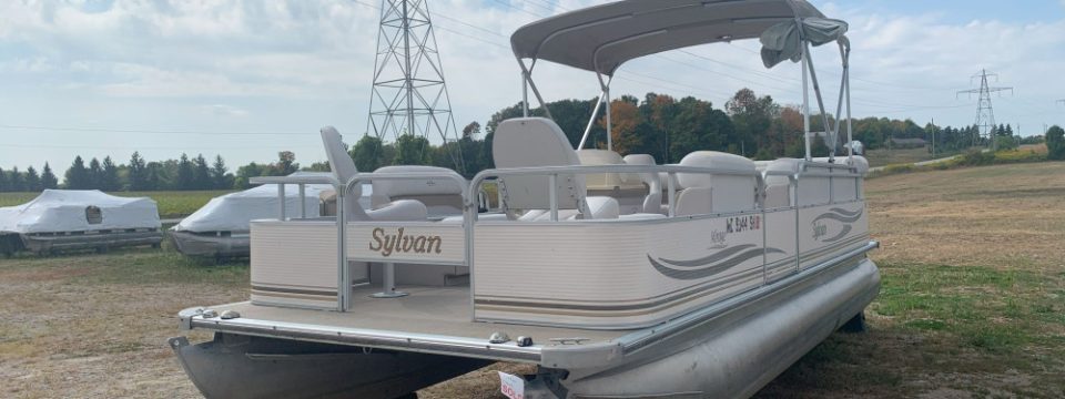 2002 22′ Sylvan Pontoon 50 hp Merc 4-Stroke